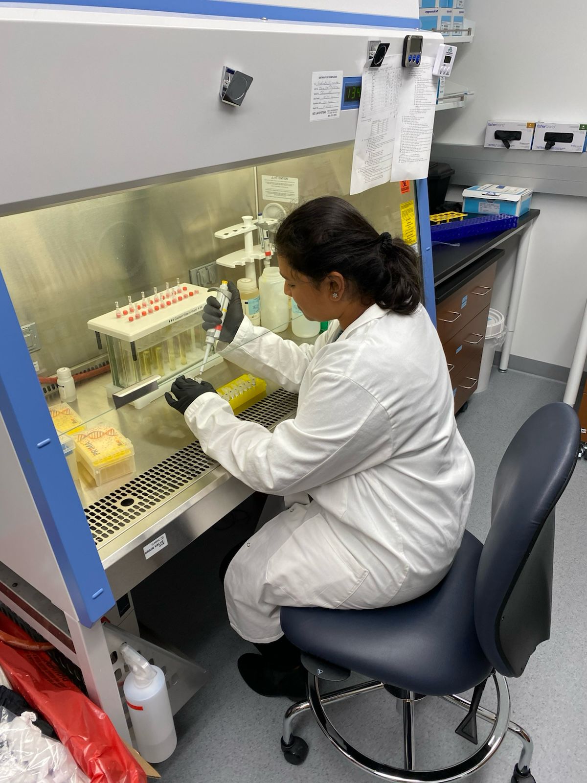 Lab Work