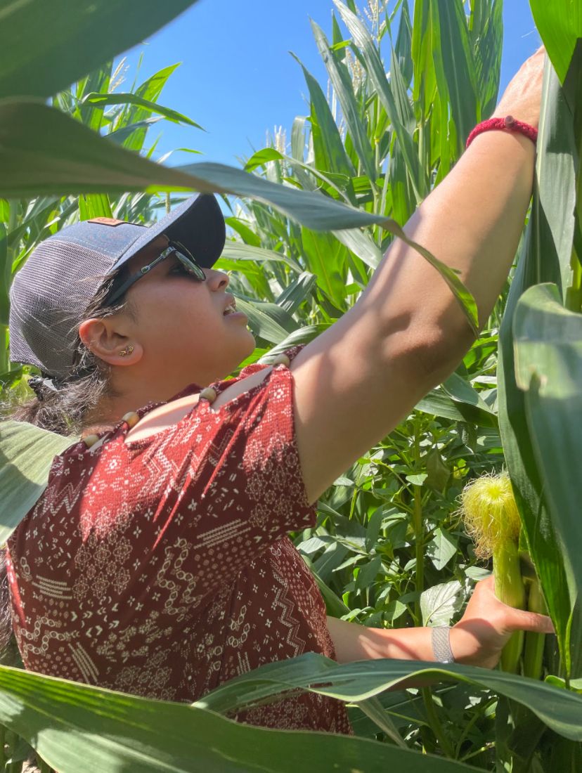 Field Visit